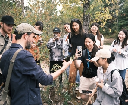 아이오닉 시리즈